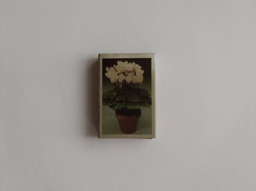 Decorative matchbox featuring potted cyclamen flowers; photographic style floral design.