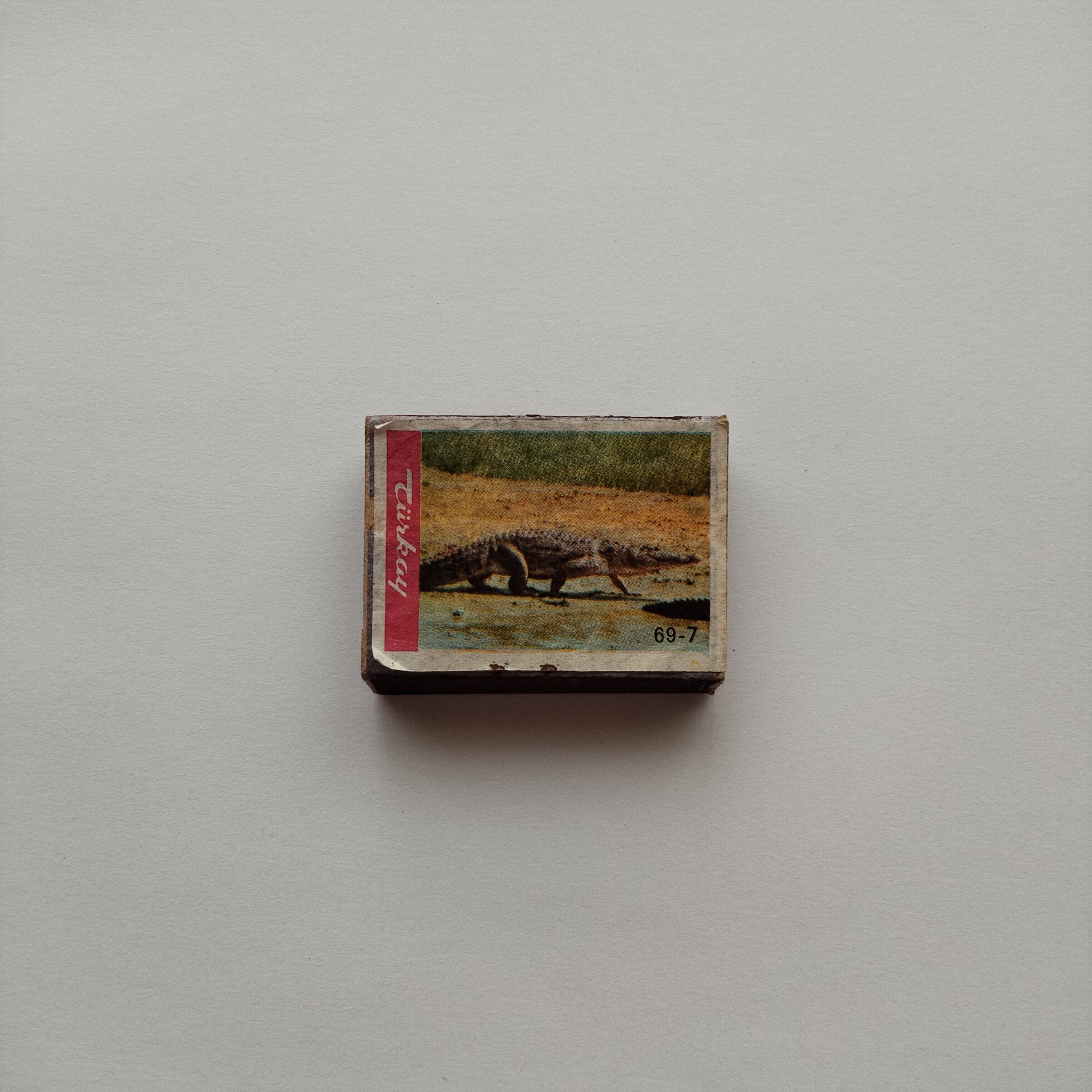 Türkay Crocodile Series