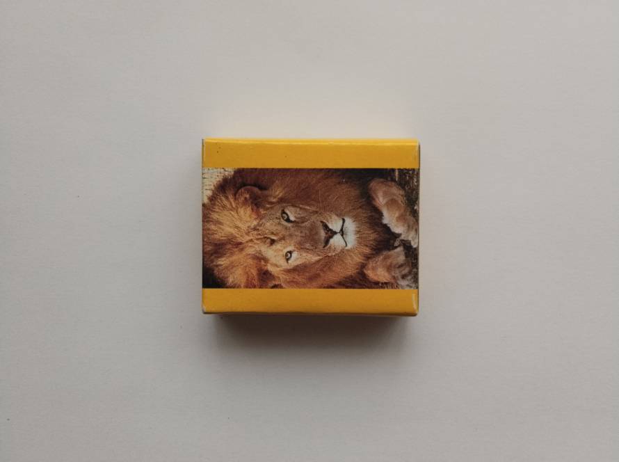 Decorative matchbox featuring a lion portrait. Reverse shows Italian text “100 Fiammiferi Ecologici” and distributor information from Ferrara, Italy.