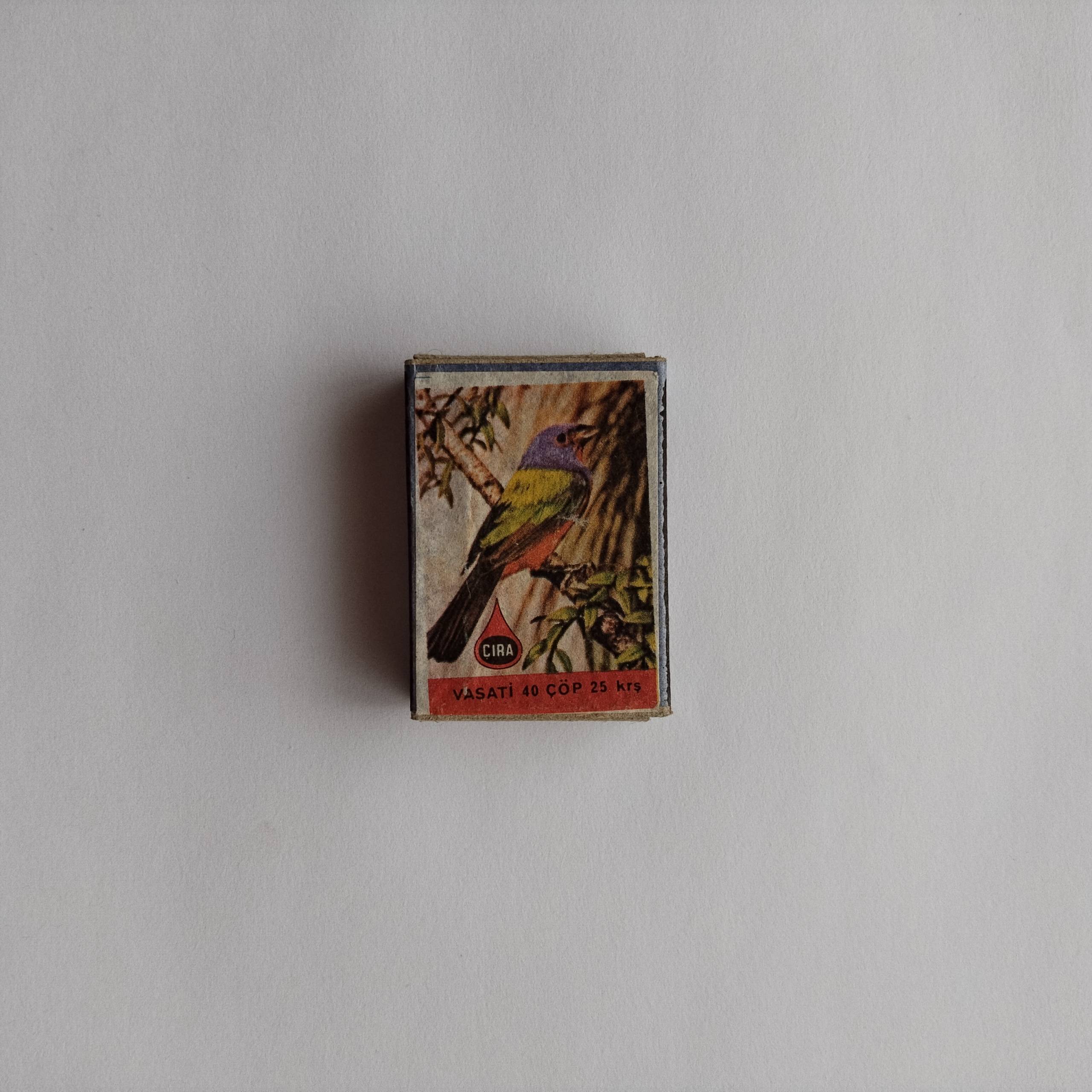 Çıra colorful Bird