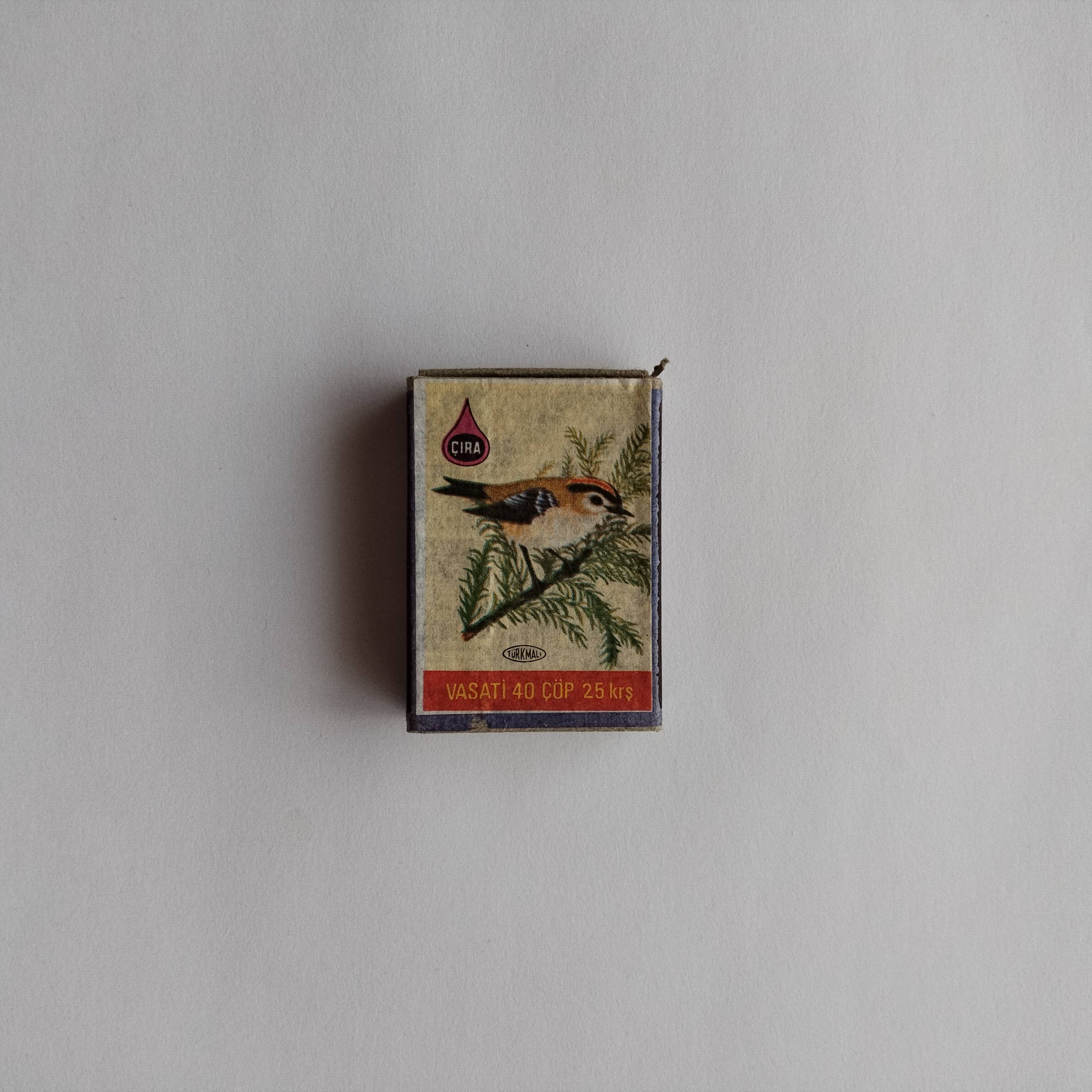 Malazlar Small Branch Bird