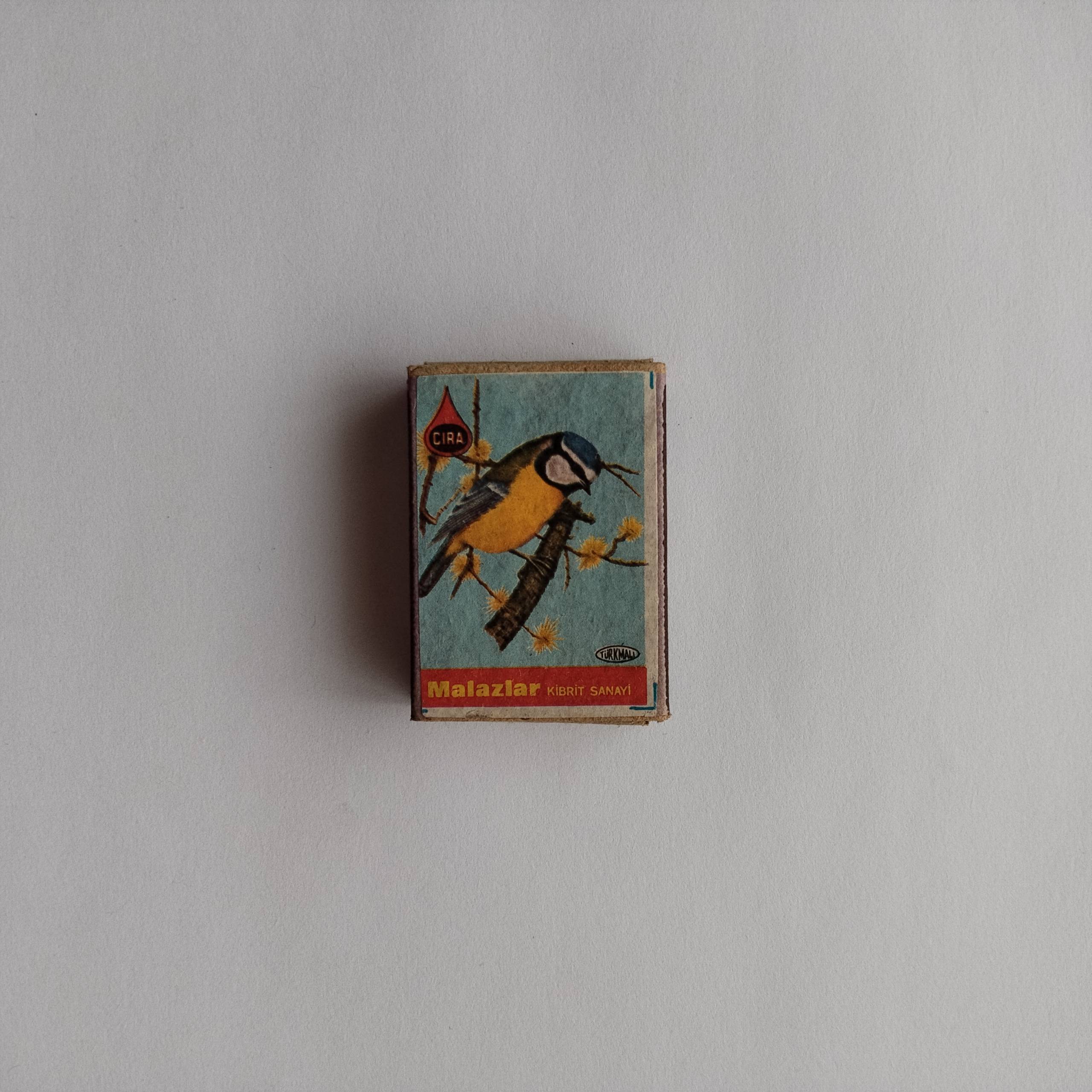 Malazlar Blue Yellow Bird