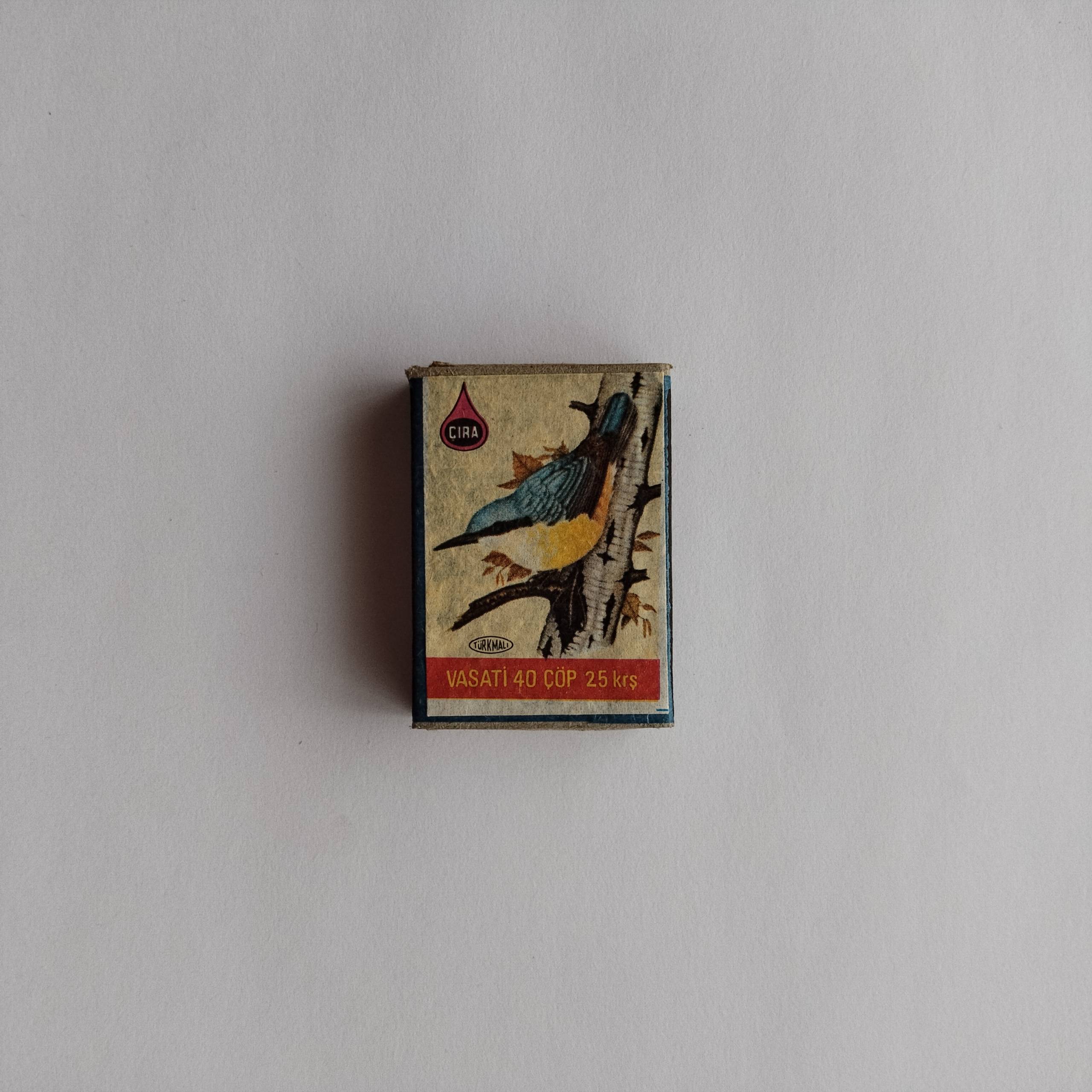 Çıra Nuthatch Bird