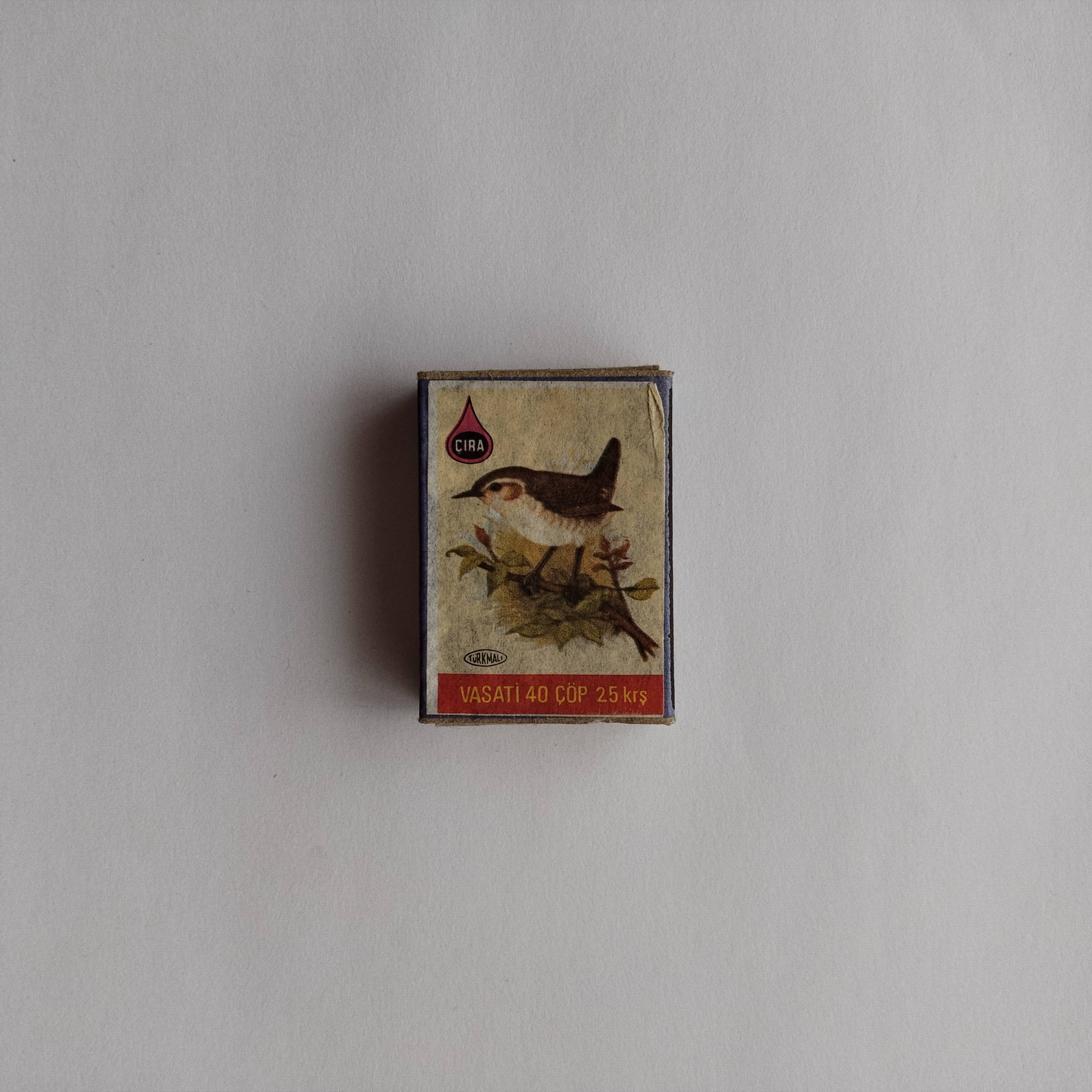 Çıra Small Warbler Bird