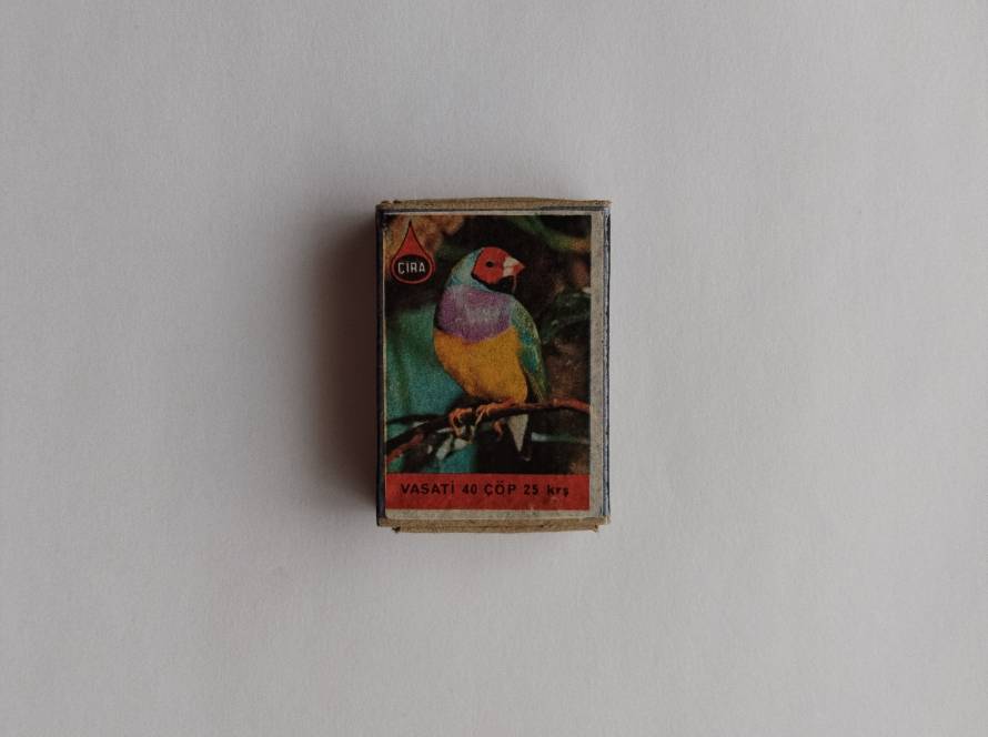 Highly colorful exotic bird with vivid plumage, visually striking collectible piece.