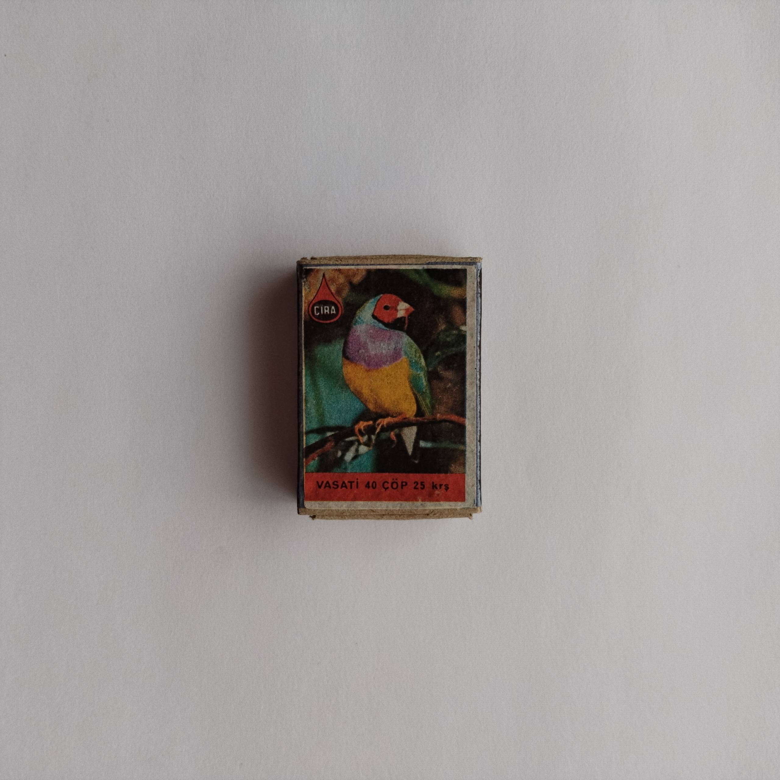 Çıra Colorful Exotic Bird