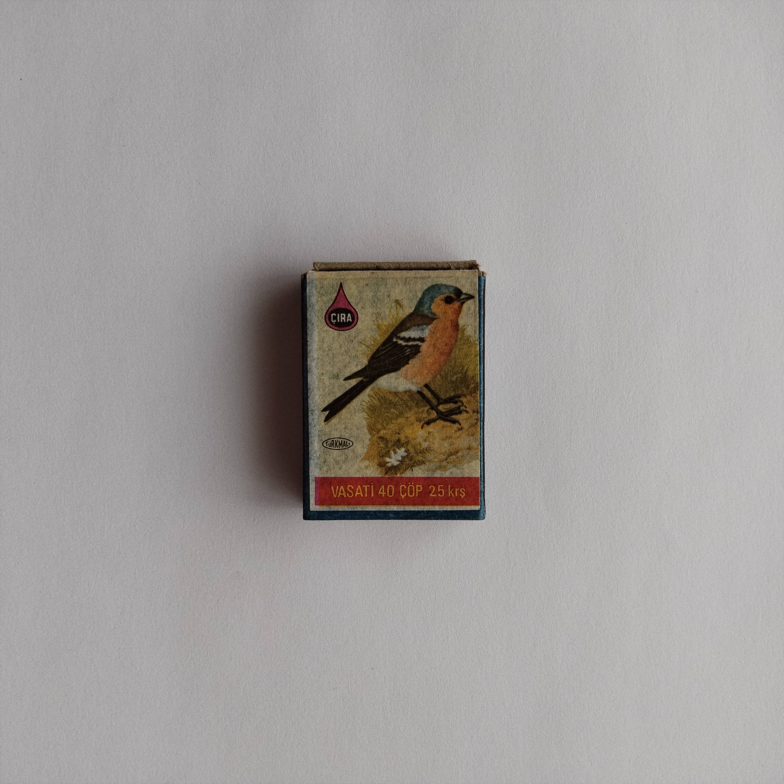 Çıra Chaffinch Illustration