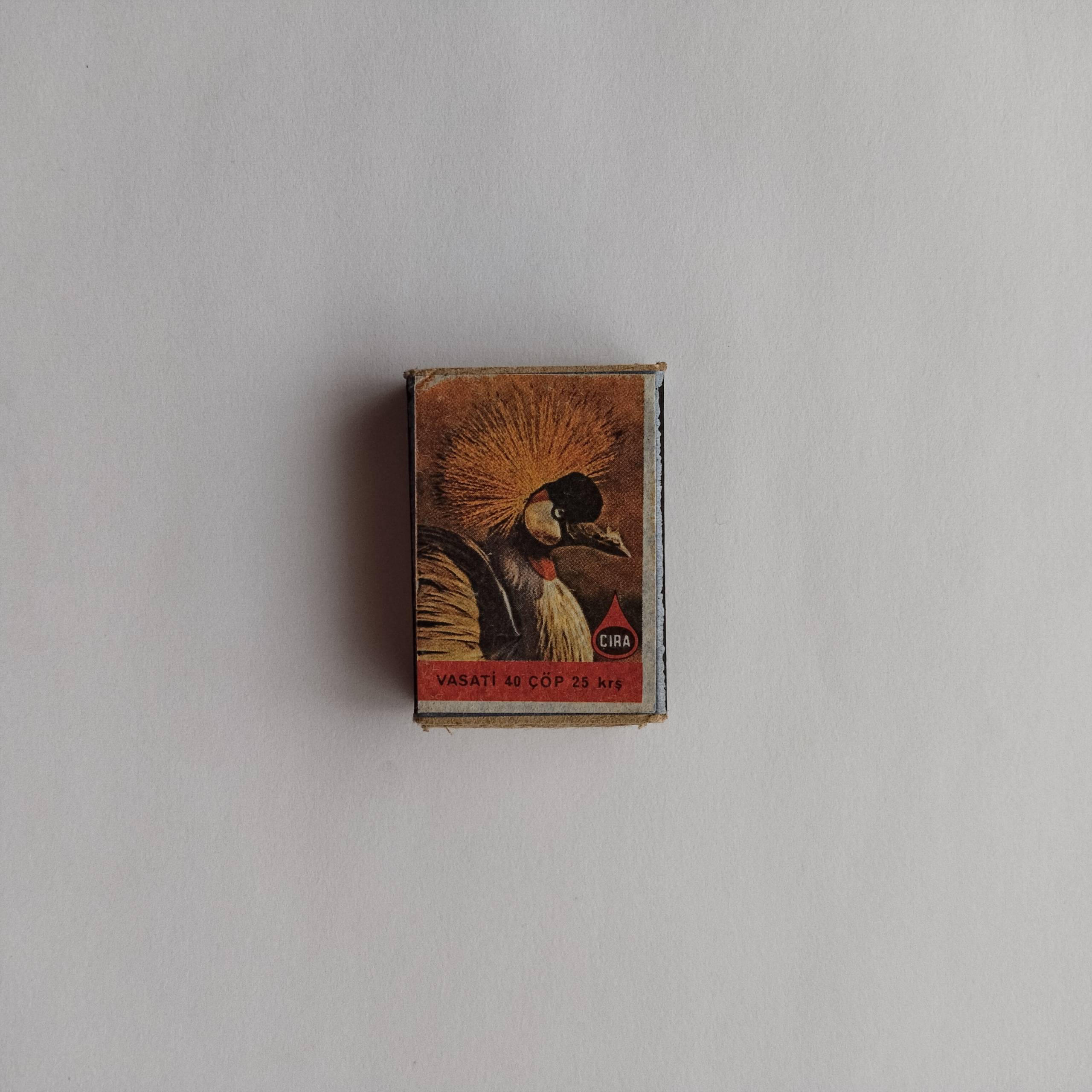 Çıra Crowned Crane Bird