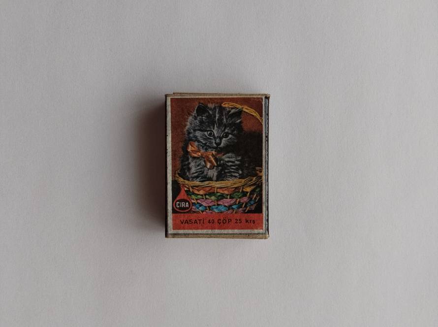 Cute kitten sitting in a basket, highly appealing and standout emotional design.