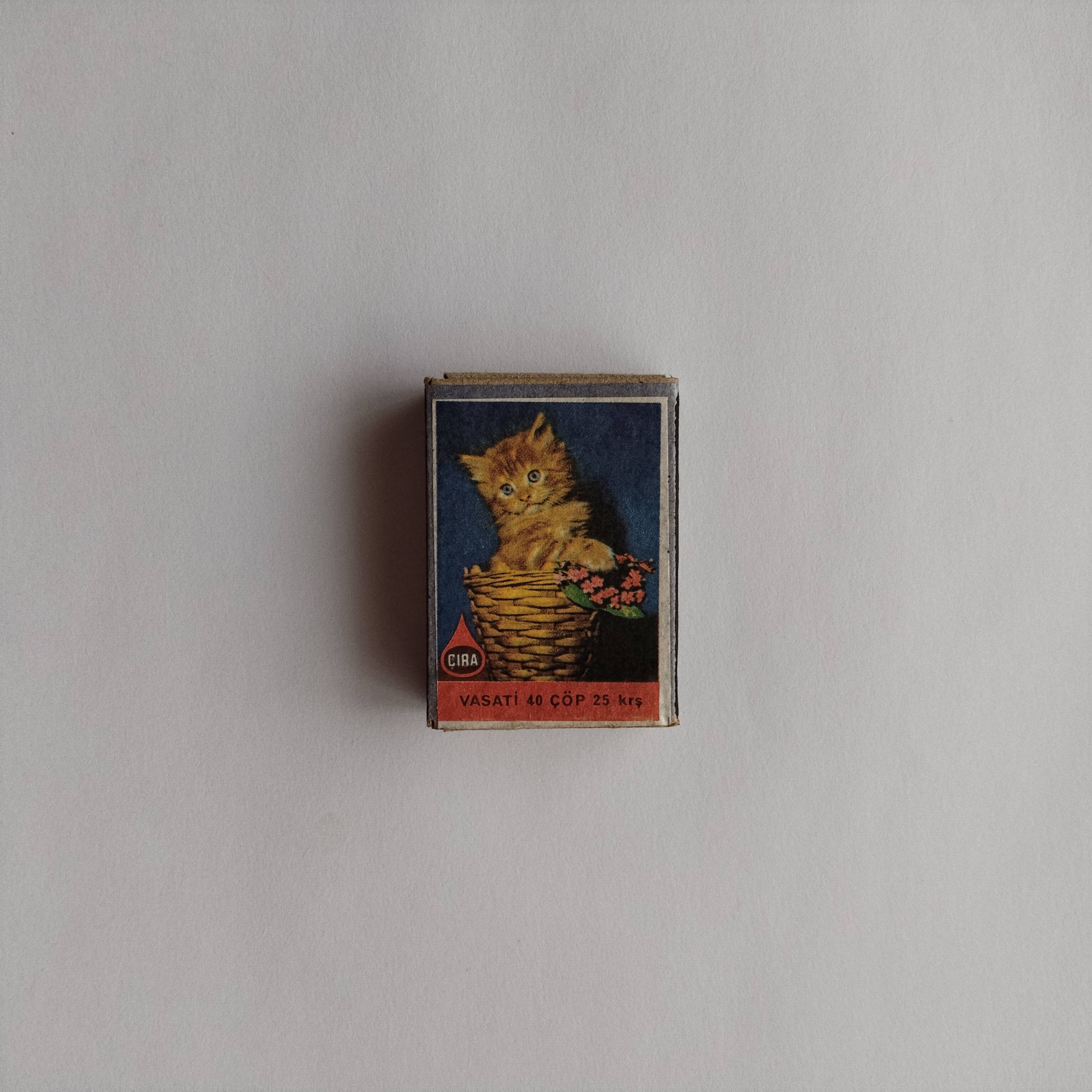 Çıra Kitten Basket