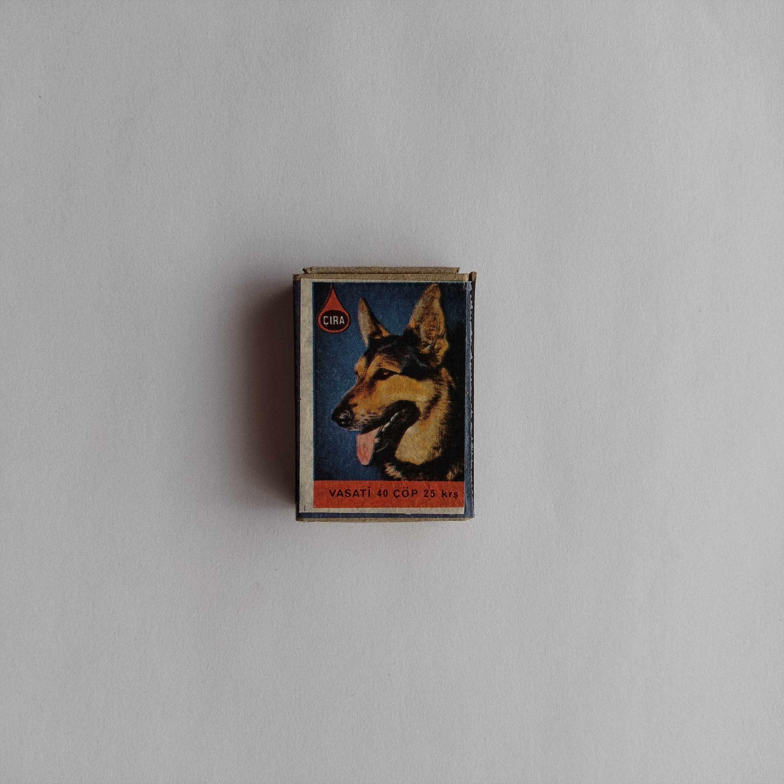 Çıra German Shepherd Dog