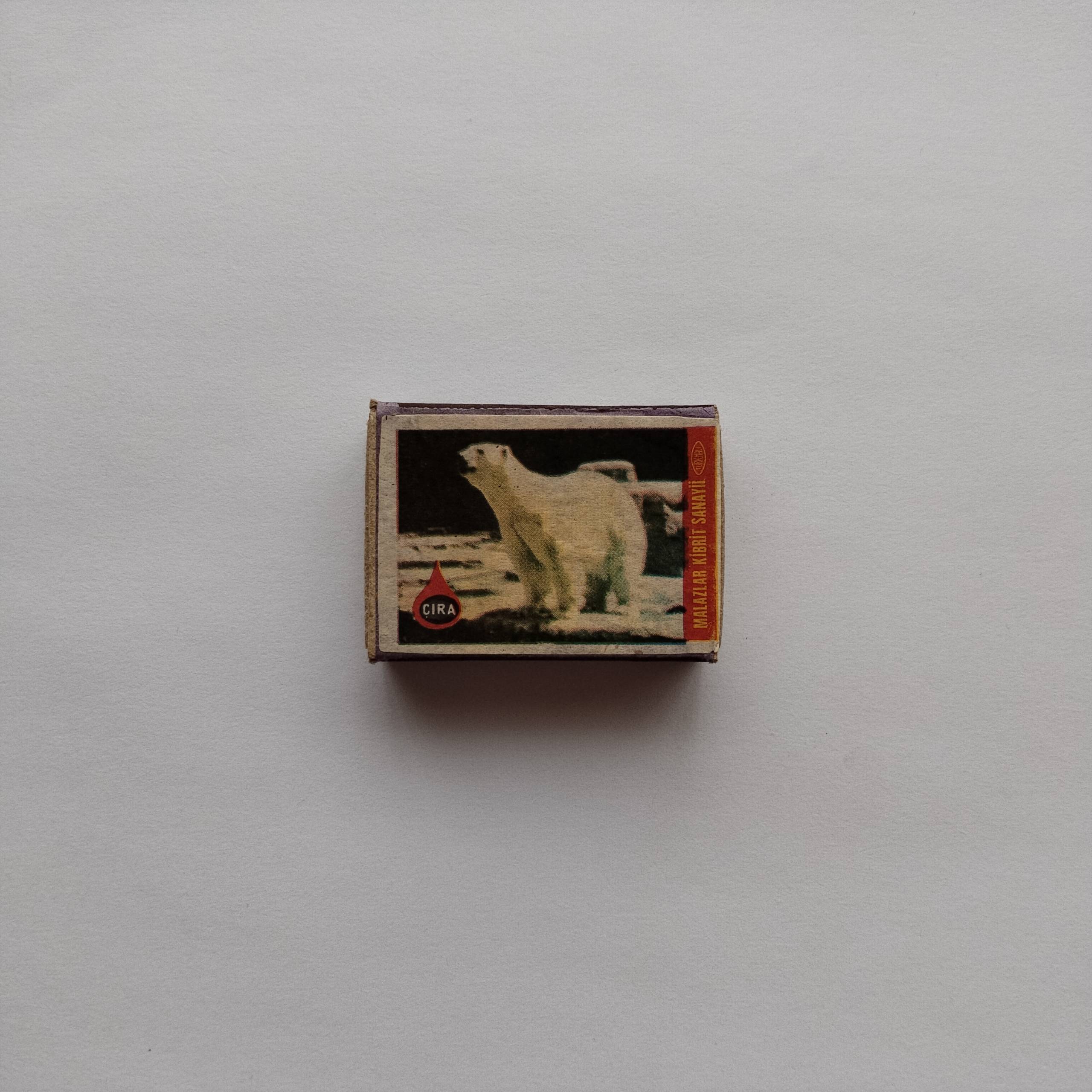 Çıra Polar Bear