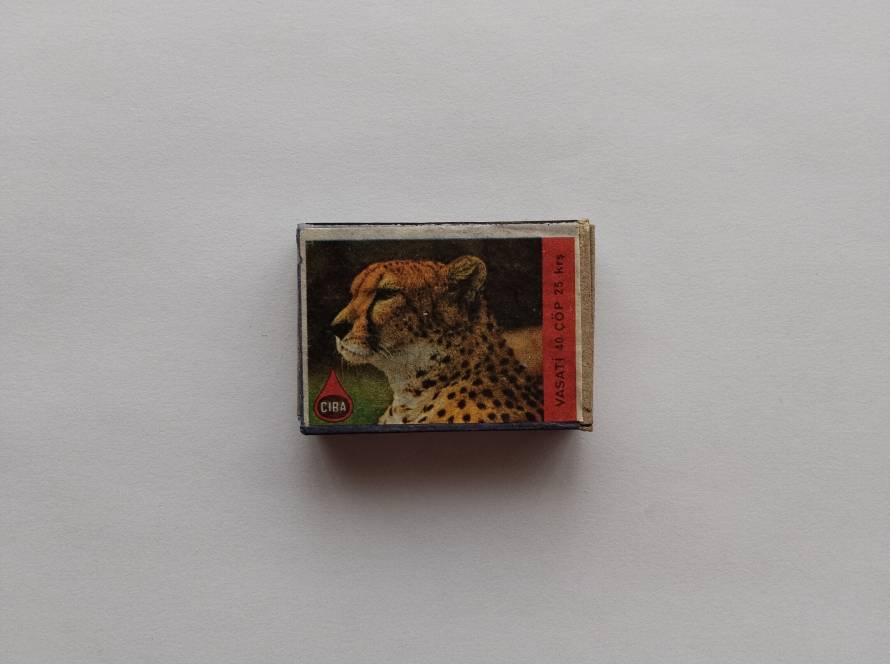 Close-up cheetah portrait, detailed and powerful wildlife imagery.