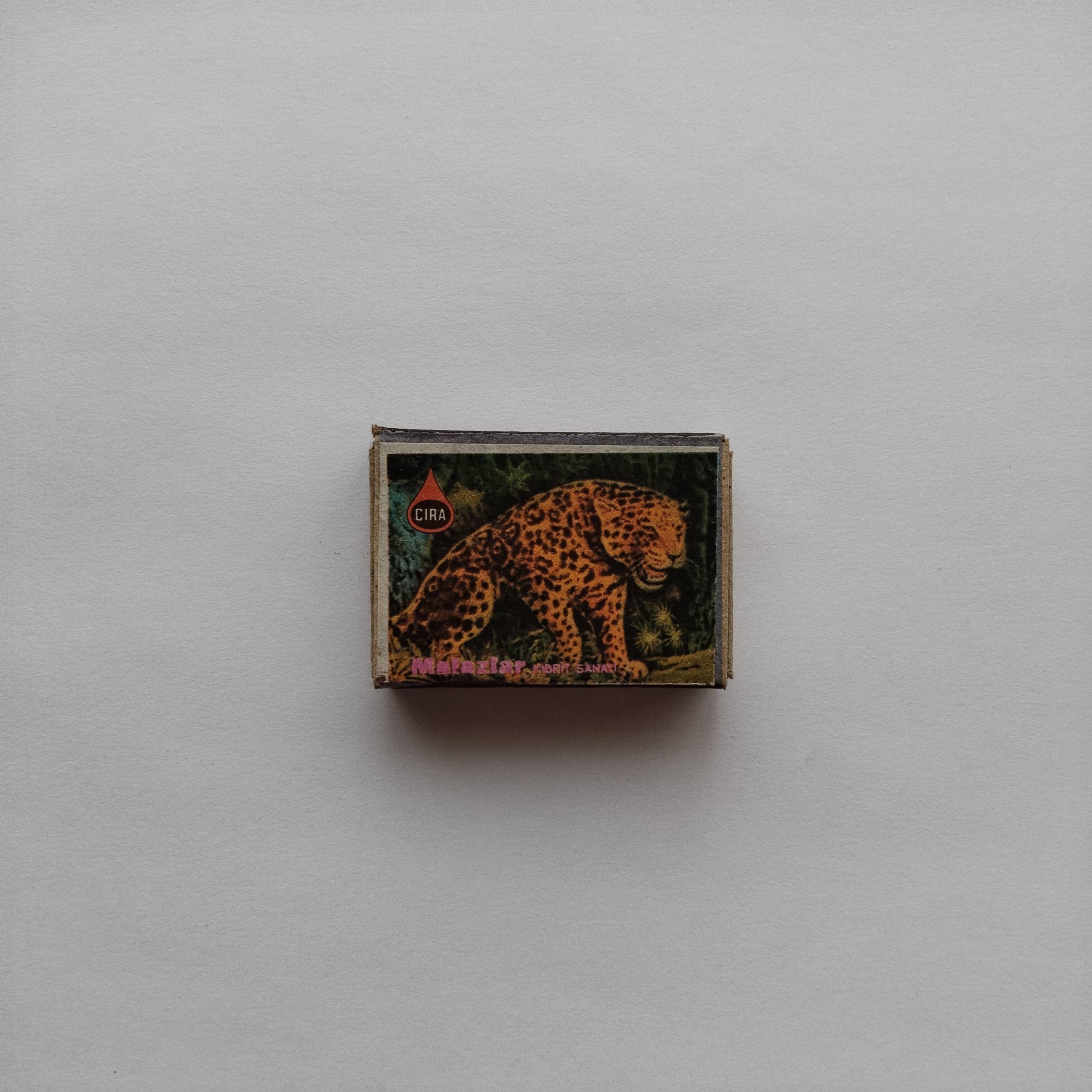 Çıra Leopard Full Body