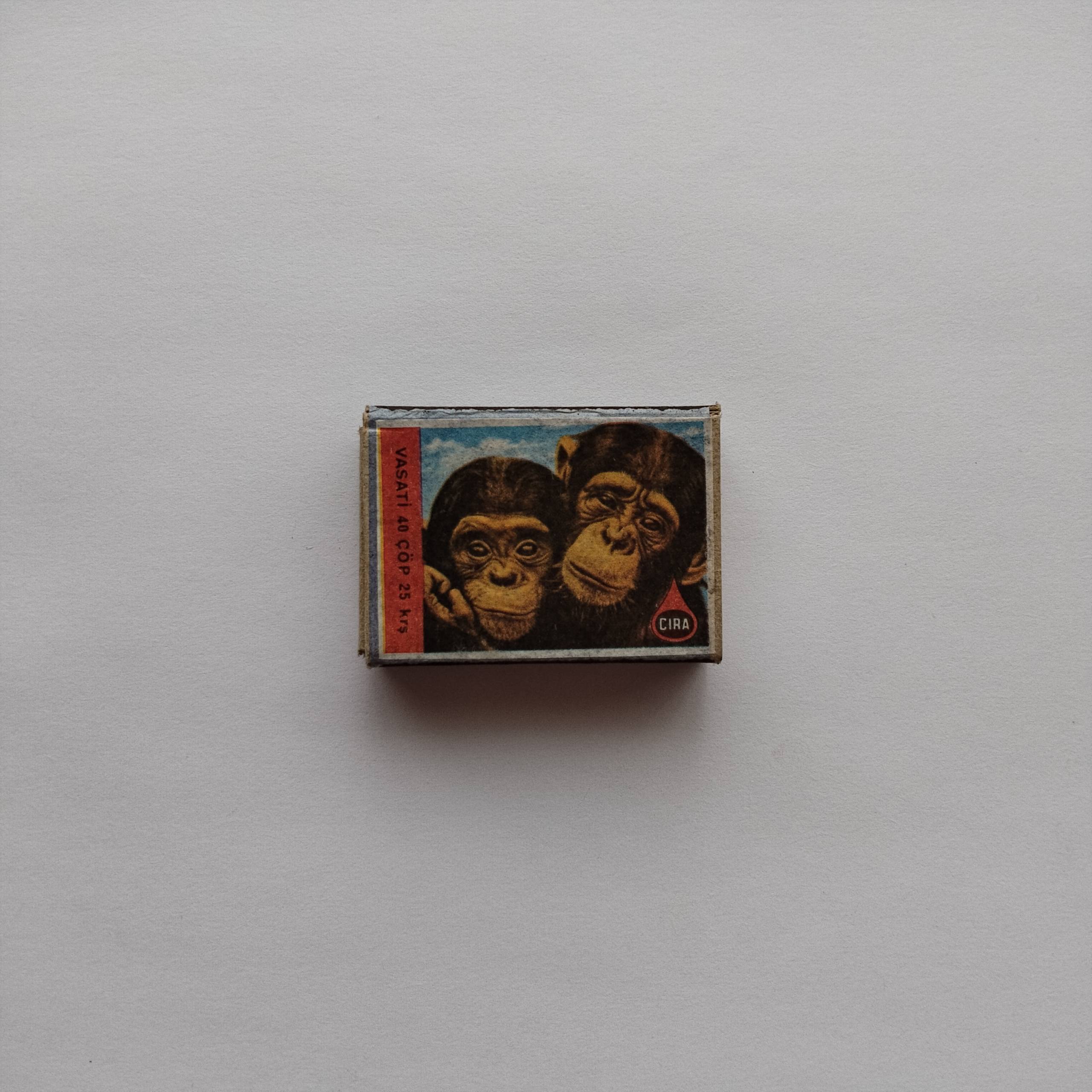 Çıra Chimpanzee Pair