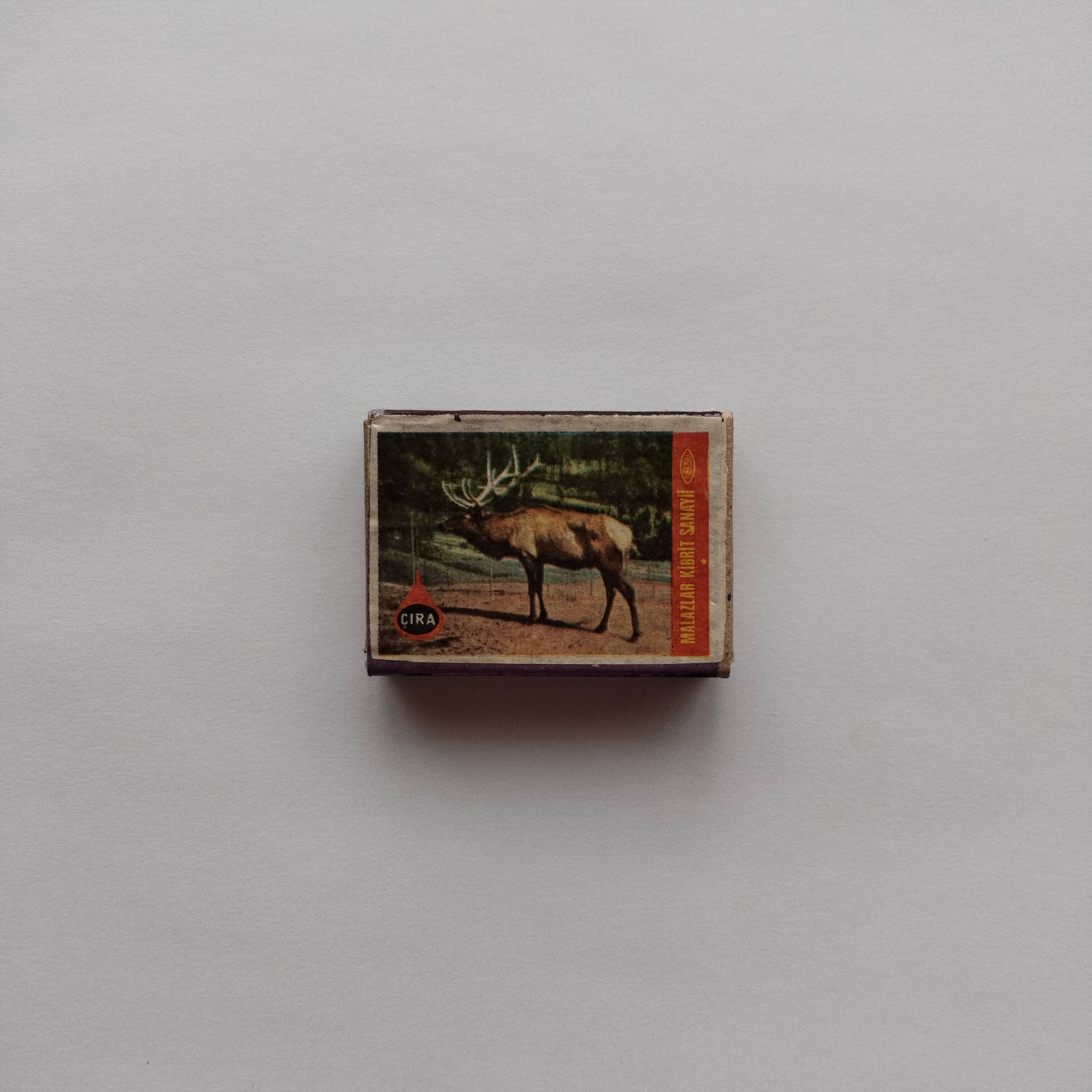 Çıra Deer Stag