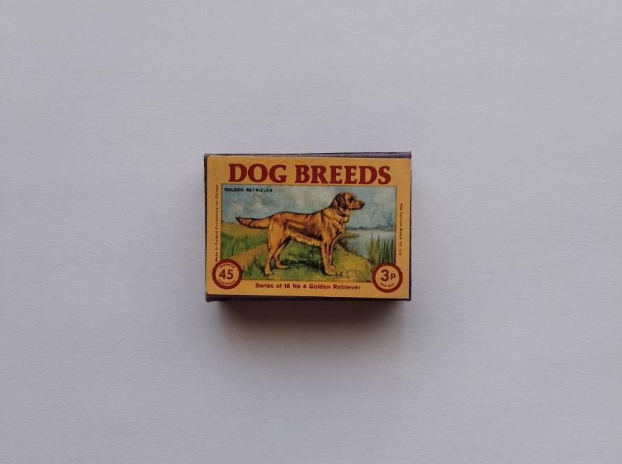 “Dog Breeds” series No.4 Golden Retriever, bright countryside illustration, collectible set piece.