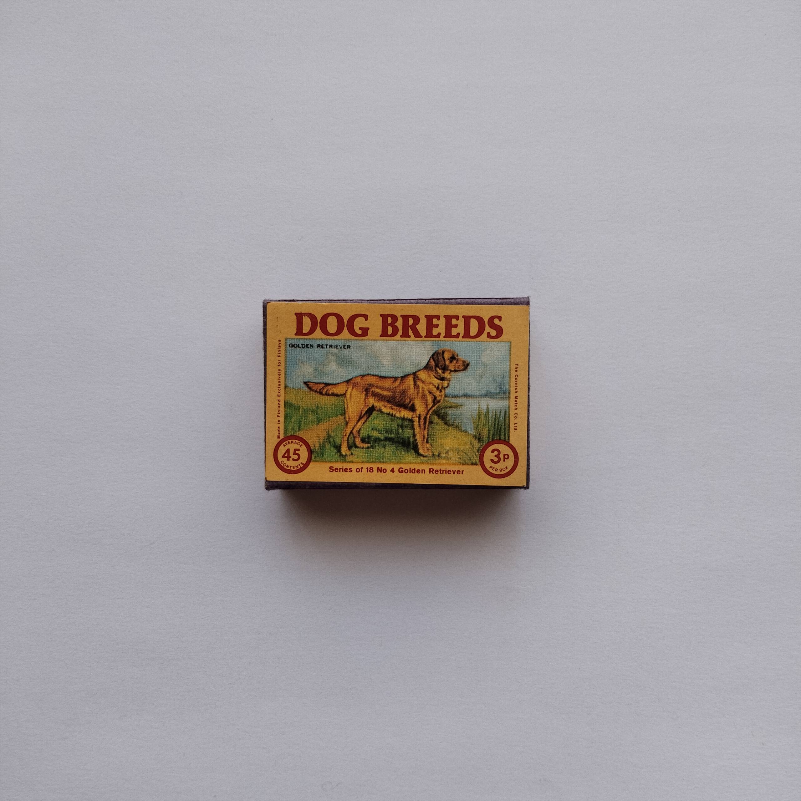 Dog Breeds Golden Retriever