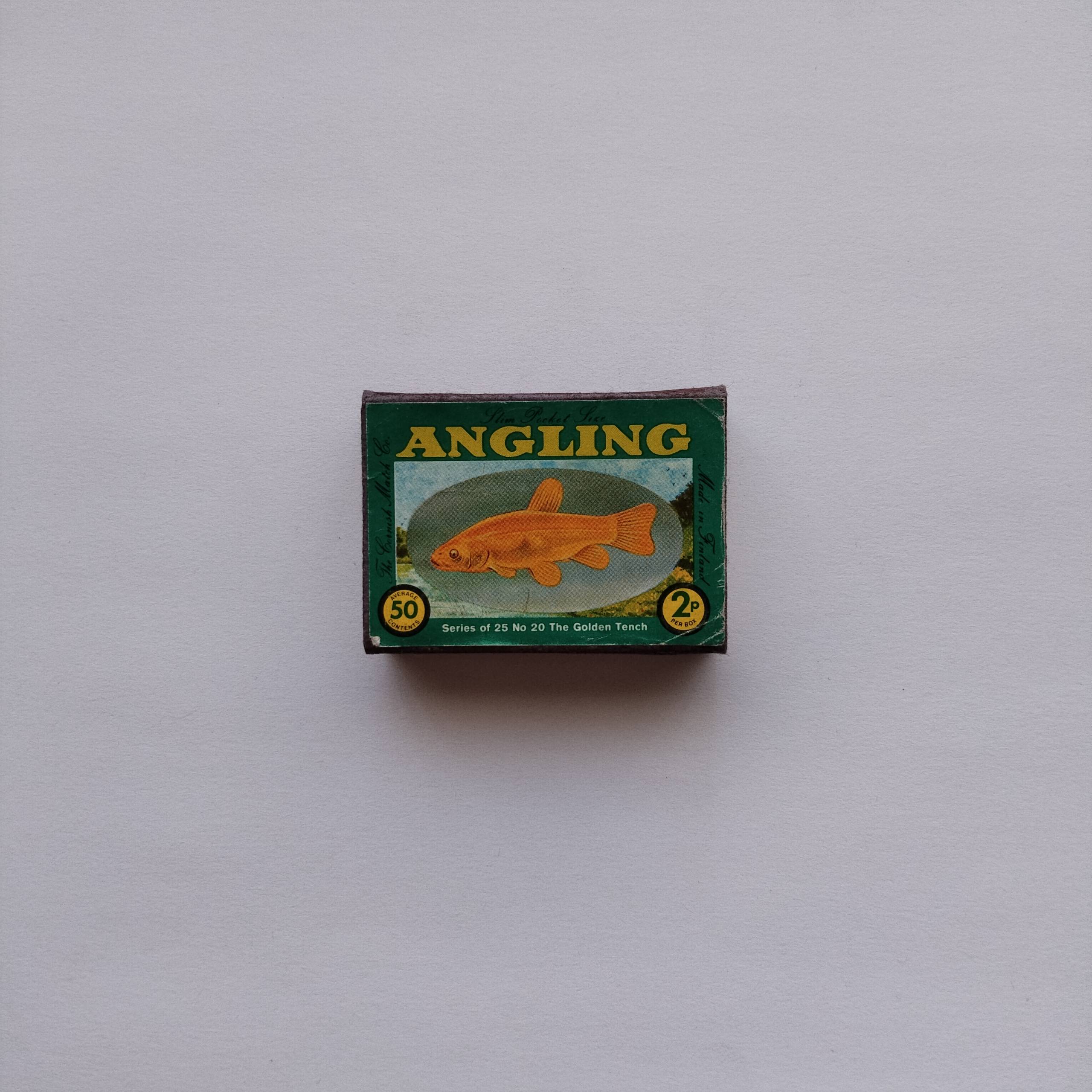 Angling Golden Tench