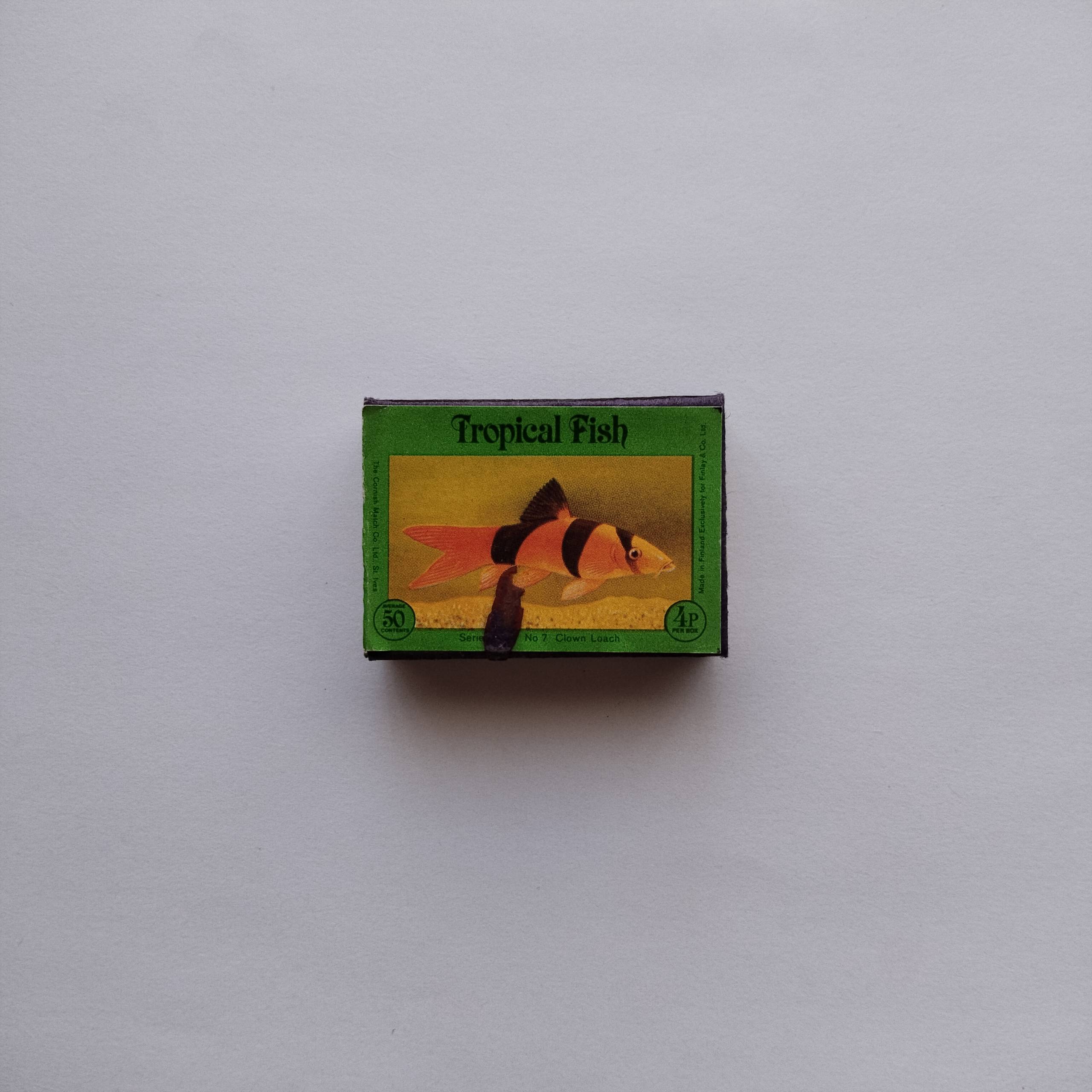 Tropical Fish Matchbox Clown