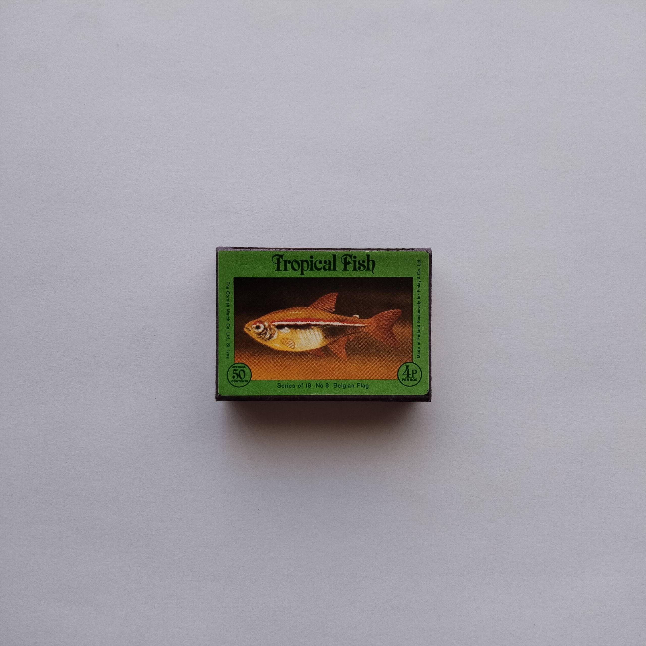 Tropical Fish Matchbox Belgian Flag