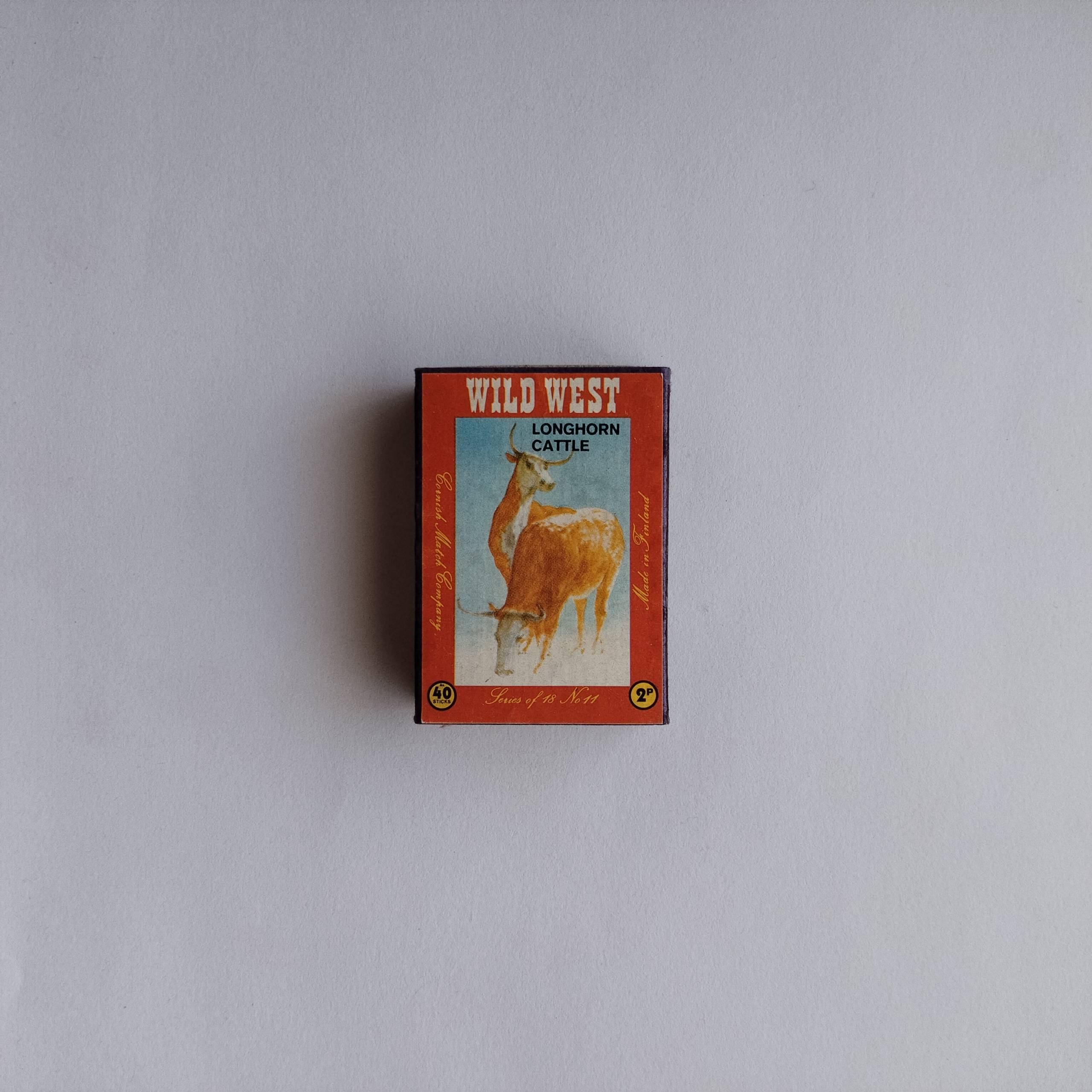 Wild West Longhorn Cattle