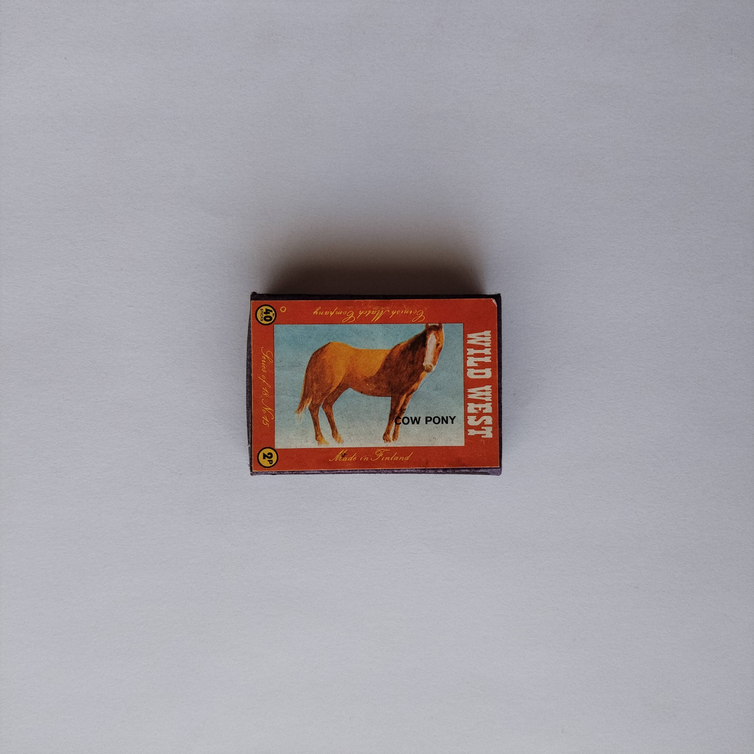 Wild West Cow Pony