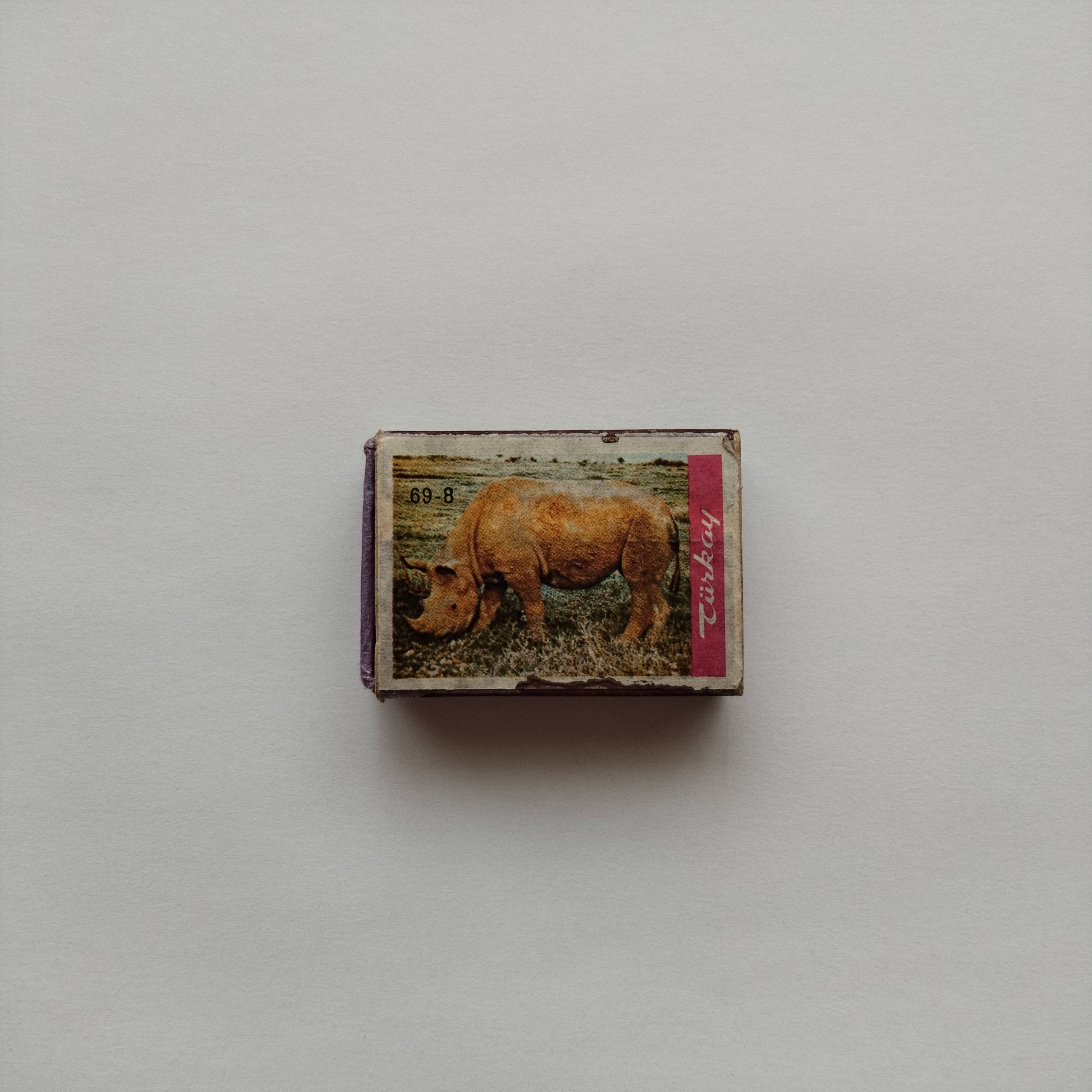 Türkay Rhinoceros Animal Series