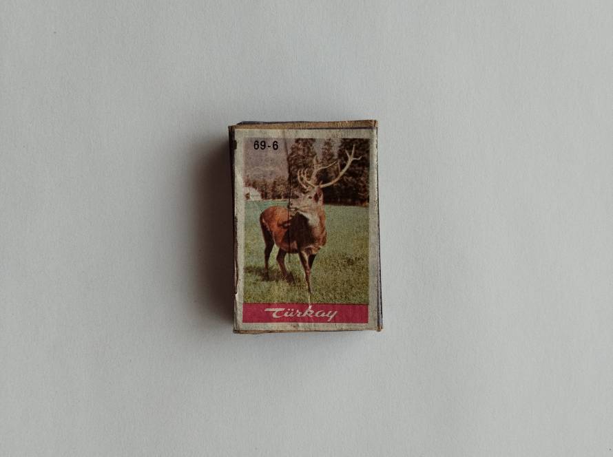 Deer illustration in natural setting; attractive piece for wildlife and nature-themed collections.