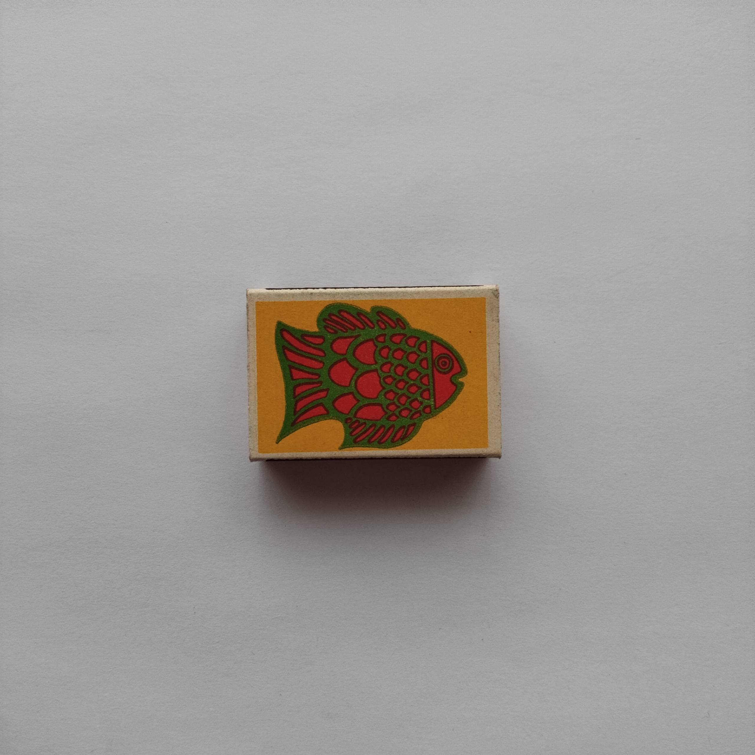 Stylized Fish Graphic