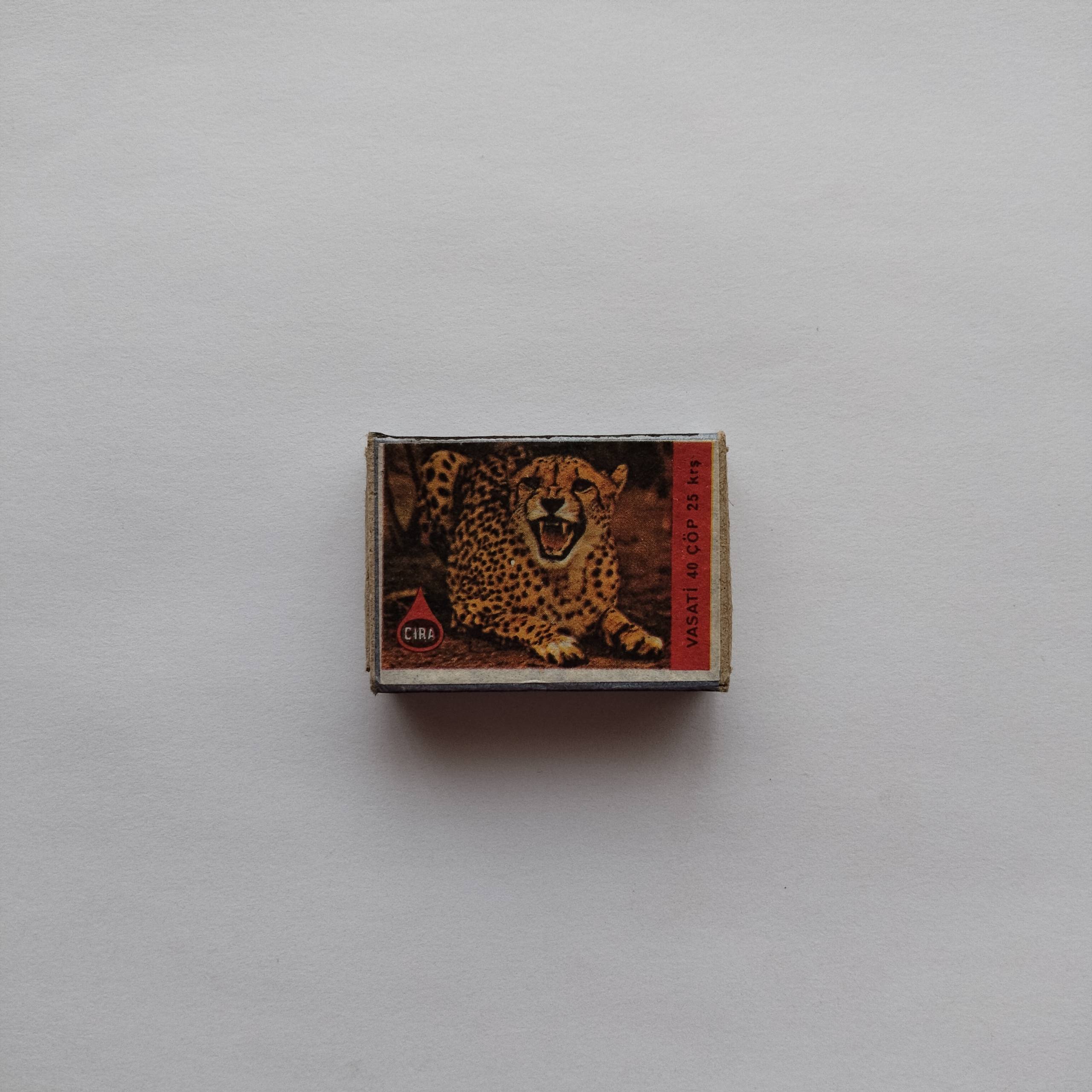 Cheetah