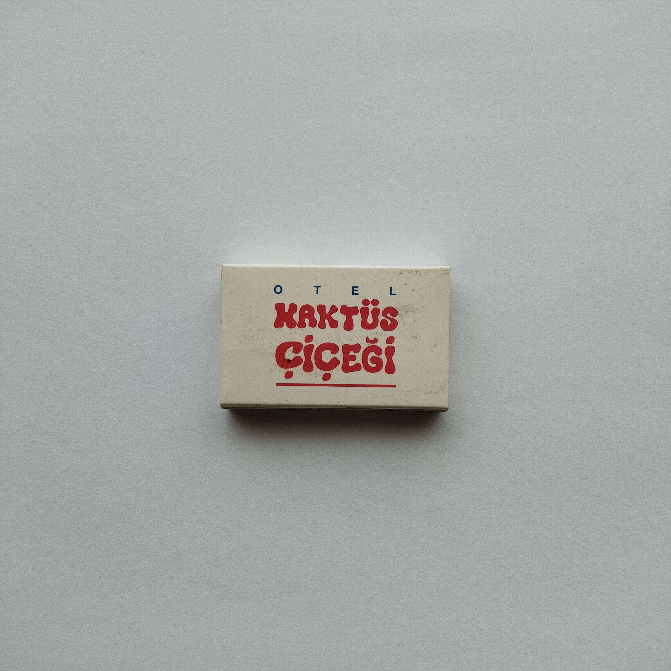 Hotel Kaktüs Çiçeği